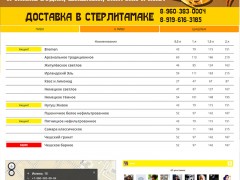 Создание сайта по доставке разливного пива Стерлитамак