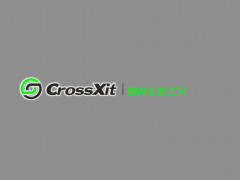 Разработка брендбука под франшизу CrossXit