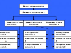 сегментная организация
