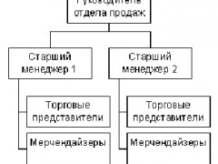 Мерчендайзинг: эффективная выкладка товара